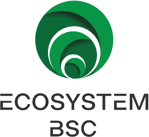 Logo-Ecosystem-BSC-NO-SPACE.png