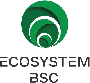 Logo-Ecosystem-BSC-NO-SPACE.png